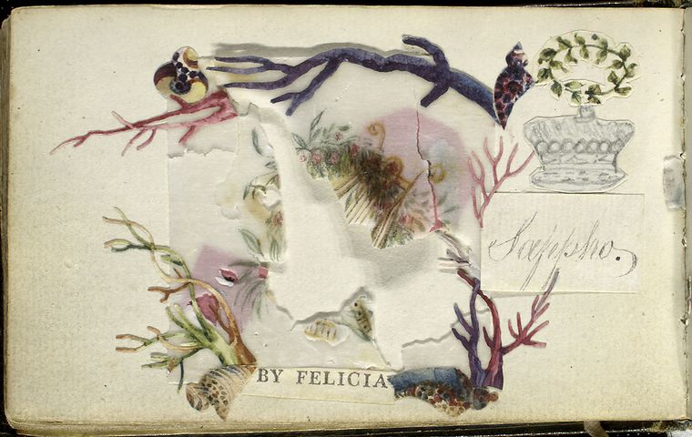 Fairy Corner