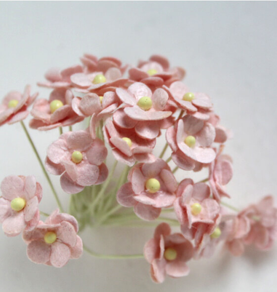Fairy Corner