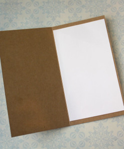 Alternative view of Joy To The World