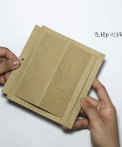 Blank (sản phẩm trơn)