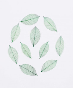 Lá nhuộm xanh lá 8,5 cm (Set 10 cái)