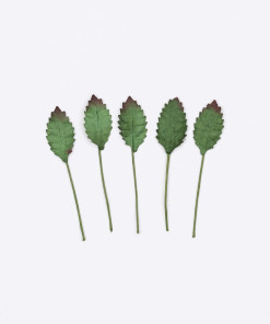 Lá giấy xanh đậm nhỏ (set 5 cái)