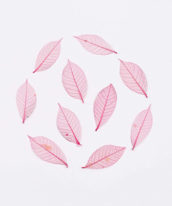 Lá nhuộm màu hồng