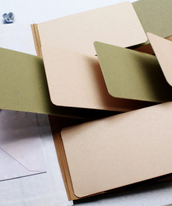 Alternative view of Fly Album Awesome