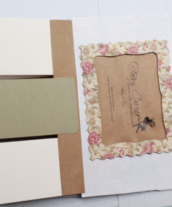 Alternative view of Fly album Remember