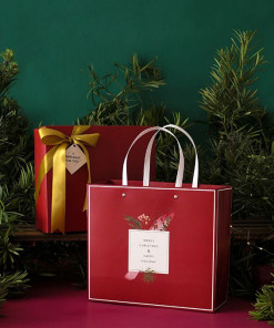 Túi giấy họa tiết loại 45 kt 27 x 30 x 12 cm (Chủ đề Noel)