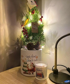 Alternative view of Nến thơm Elayne Magic