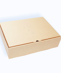 Hộp carton nâu kích thước 25x25x5 cm