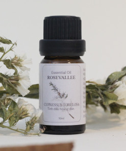 Tinh dầu Hoàng Đàn (Cedar wood)