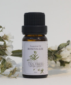 Tinh dầu Tràm Trà