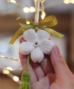 Alternative view of Thạch cao thơm (size M)