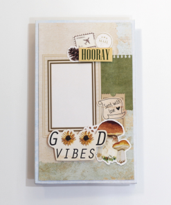 Fly Album Good Vibes