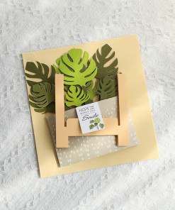 Alternative view of Thiệp 3D chậu cây Monstera