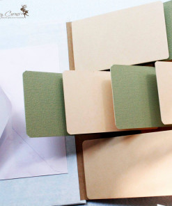 Alternative view of Fly Album Fun