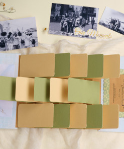 Alternative view of Fly Album 365 days