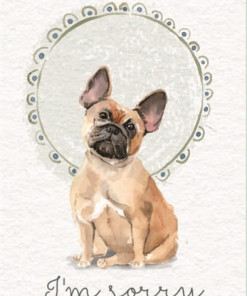 Thiệp giấy in Sorry Sad 01