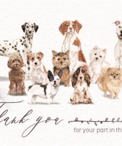 Thiệp giấy in Thank You Animal 05